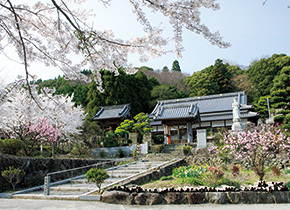 岩戸寺